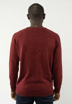 Strickpullover Basic -Stoff Punkt Verkaufsgeschäft Basic Men Knit jumper burgundy red 03