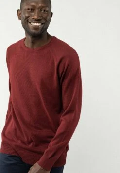 Strickpullover Basic -Stoff Punkt Verkaufsgeschäft Basic Men Knit jumper burgundy red 05