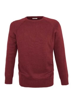 Strickpullover Basic -Stoff Punkt Verkaufsgeschäft Knit Pullover Men burgundy 2