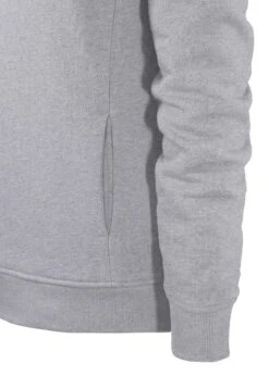Hoodie Basic Herren -Stoff Punkt Verkaufsgeschäft NOS Hoodie grey 3